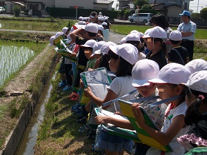 学区探検